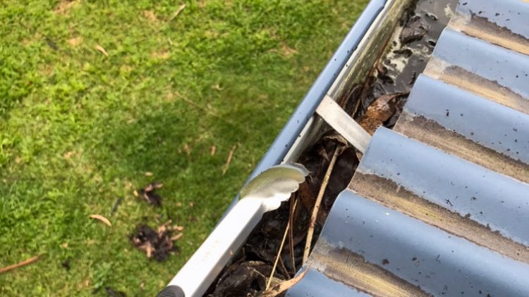 gutter_cleaning_services